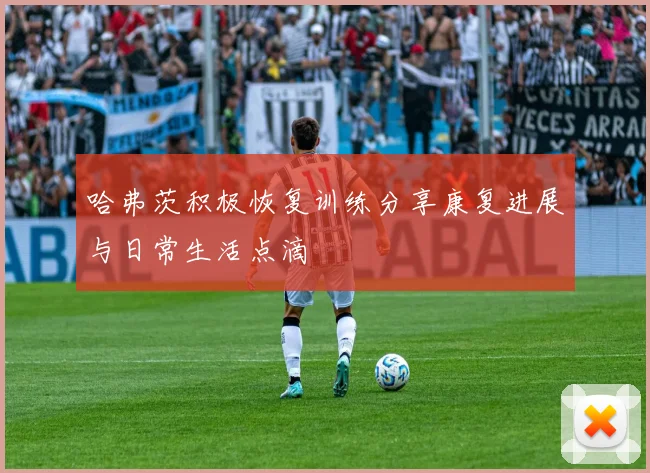 哈弗茨积极恢复训练分享康复进展与日常生活点滴