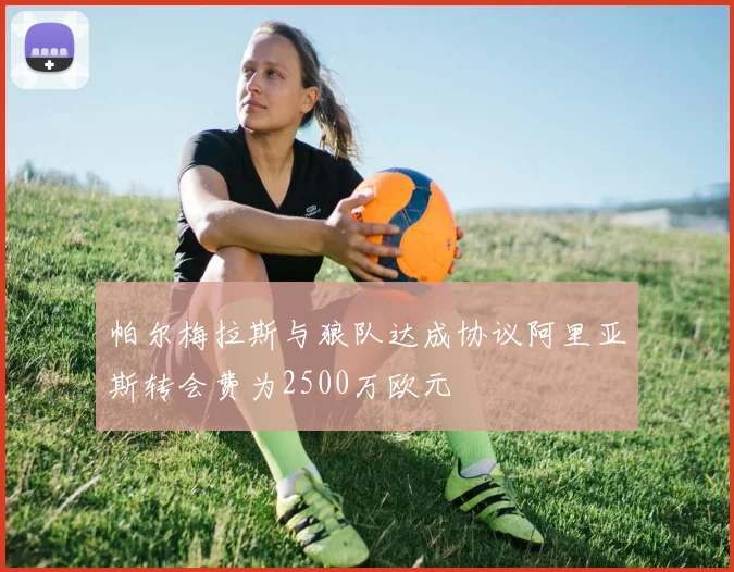 帕尔梅拉斯与狼队达成协议阿里亚斯转会费为2500万欧元