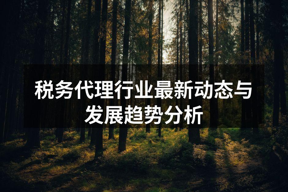 税务代理行业最新动态与发展趋势分析