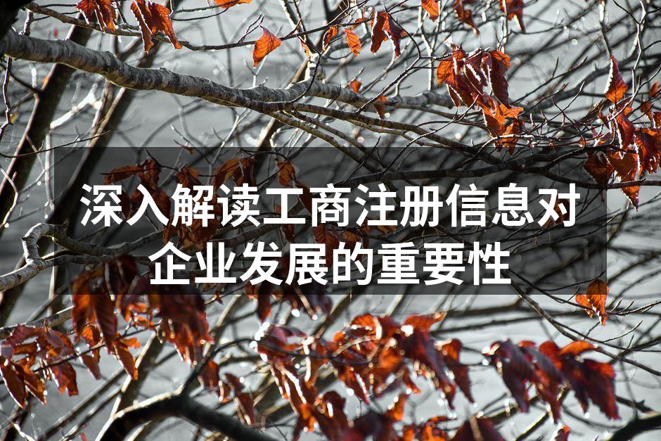 深入解读工商注册信息对企业发展的重要性